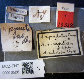 Media type: image;   Entomology 10528 Aspect: labels